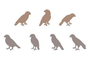 Hawk Bird Silhouette Icon Set vector