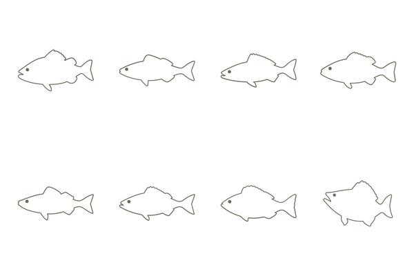 Haddock Fish Outline Icon Set