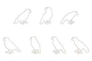 Hawk Bird Outline Icon Set vector
