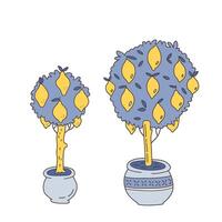 Citrus trees in the pots set. Potted lemon trees in doodle hand drawn style. vector