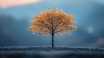 A single tree in the middle of a field photo