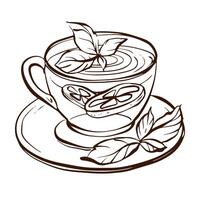 Line art sketch of a tea cup with lemon and herbal elements. Isolated contour drawing on transparent background. Suitable for menu, label, icon, or design element. vector