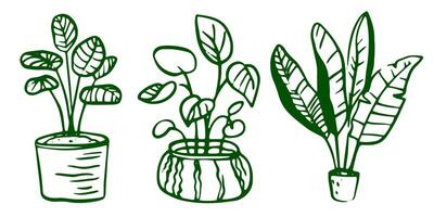 A set of line art illustrations featuring various indoor plants in flowerpots and botanical elements. Includes simple drawings in a minimalist style. Suitable for home decor and gardening concepts. vector
