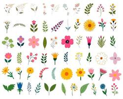 Collection of spring colorful flower elements . Set floral of wildflower, leaf branch, foliage on white background. vector