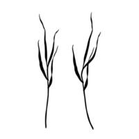 Set of meadow grass silhouettes. Hand drawn illustration isolated on white background. Sketch in line art style painted by black inks For clip art cards package vector