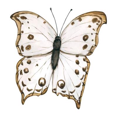Monarch Butterfly Isolated on White Background. Hand drawn flying insects. Watercolor illustrations in calm beige tones for background, texture, wrapper pattern, frame or border