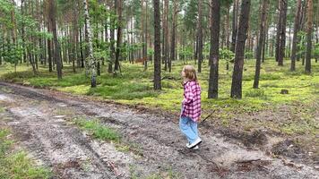 Young girl walking on a path in a forest with her dog video
