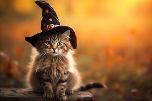 A cat wearing a witch hat sitting on a log photo