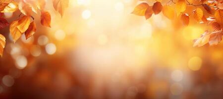 Autumn leaves on a blurred background photo