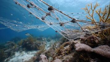An intricate setup of underwater vision nets strategically p around a coral reef gathering visual data and environmental metrics with a focus on coral coloration and fish populatio photo