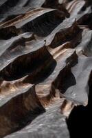 Textured, undulating abstract form in dark tones. Close-up view of layered, ridged surface. Rich, complex patterns and shadows photo