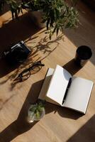 A workspace with a notebook, camera, glasses, and plants photo