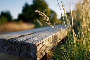 A close up of a wooden bench with tall grass photo