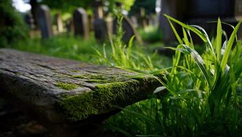 Weathered bench in a graveyard, overgrown with moss and surrounded by vibrant green grass photo