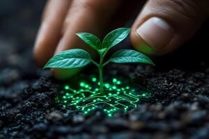 Innovation in Nature Merging Technology and Growth for a Sustainable Future photo