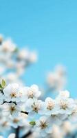 Blossoming white flowers adorning leafy green branch, soft foliage blending with delicate spring background photo