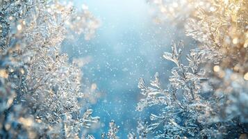 Frosty leaves sparkling under crisp winter light, intricate ice crystals surrounding delicate foliage, creating serene seasonal landscape with soft snowflake patterns photo