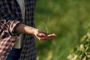 Close up view of soil ,and plant in hands. Young woman is on the beautiful agricultural field at daytime photo