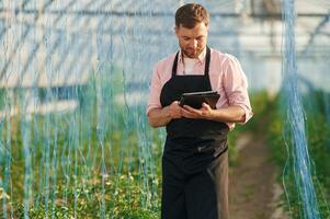 Using digita.l tablet. Man in.. greenhouse is working with plants photo