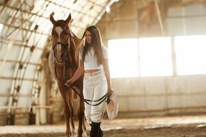 Walking forward. Beautiful, young woman is with horse indoors photo