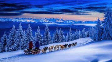Snowy mountain vista with sled dog team. photo