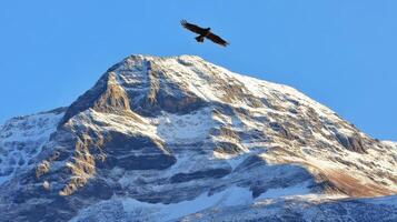 Majestic mountain peak with a soaring bird against a clear sky. photo