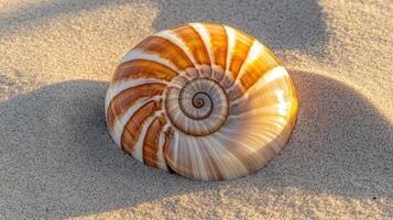 Close-up view of a spiral seashell nestled in the sand. photo
