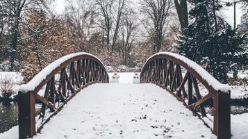 Winter scene with a covered arched bridge. photo