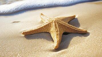 Golden starfish rests on sun-drenched beach sand. photo