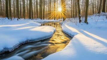 Winter sunbeams stream through a snowy forest brook. photo