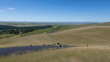 Panoramic view of harvested fields and a small village. photo