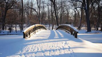 Snowy winter woodland bridge path through trees. photo