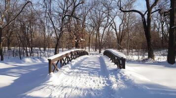 Snowy winter woodland bridge path under clear sky. photo