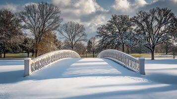 Snowy winter scene with a picturesque arched bridge. photo