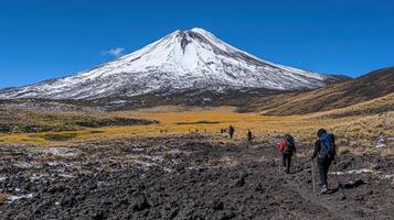 Hikers ascend a mountain trail near a snow-capped peak. photo