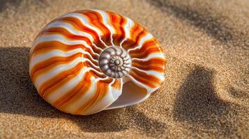 Detailed close-up view of a colorful seashell on sand. photo