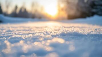 Close-up of frosted snow at sunset. photo