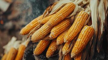 Close-up view of several roasted corn cobs. photo
