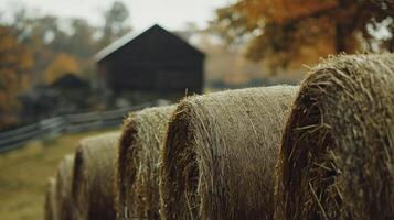 Autumnal hay bales and a rustic barn in a countryside scene. photo