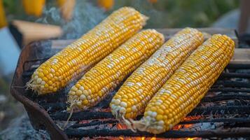 Grilled corn on the cob over hot embers. photo