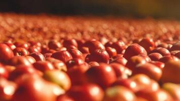 Close-up view of a large collection of red apples. photo