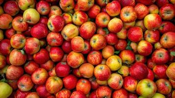 Close-up view of a large pile of red and yellow apples. photo