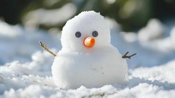 Small snowman sculpture in snowy landscape. photo