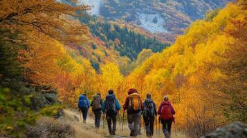 Autumnal hike through a vibrant mountain forest. photo