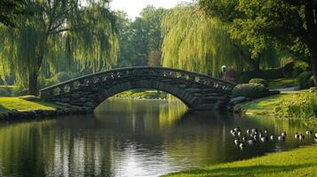 Serene stone arch bridge over tranquil water in park setting. photo