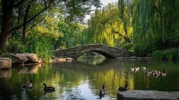 Serene stone bridge over a tranquil park pond. photo