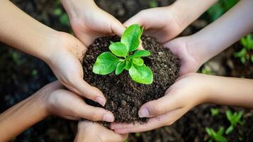 Group of hands holding small plant in soil. photo