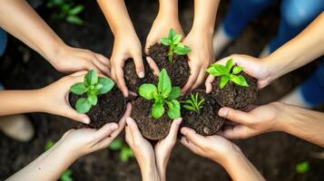 Many hands holding small plants in pots, a circle of care. photo