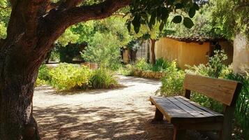 Sunny, secluded garden pathway with a wooden bench beneath a large tree. photo