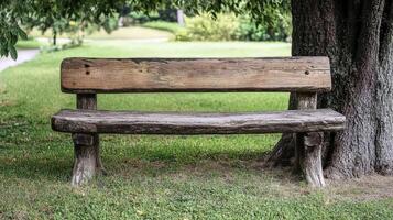 Rustic wooden park bench beneath a tree in lush green grass. photo